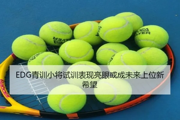 EDG青训小将试训表现亮眼或成未来上位新希望